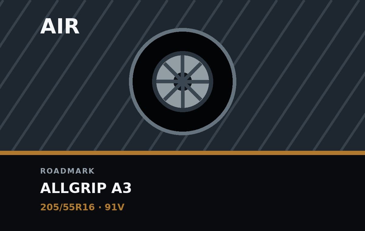 Roadmark Allgrip A3 205/55R16